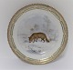 Royal Copenhagen. Fauna Danica. Lunch plate. Model # 239 - 3550. Diameter 22 cm. 
(1 quality). Canis lagopus