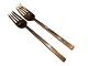 Scanline Bronze
Dinner fork 18.7 cm.