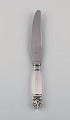 Georg Jensen Acanthus dinner knife in sterling silver and stainless steel.
