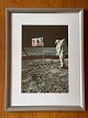 Original NASA color offset photography / photo 
print from Edwin "Buzz" Aldrin during the Apollo 
11 lunar mission in 1969
