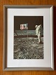 Original NASA color offset photography / photo print from Edwin "Buzz" Aldrin 
during the Apollo 11 lunar mission in 1969