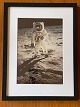 Original NASA color offset photography / photo print from Edwin "Buzz" Aldrin 
during the Apollo 11 lunar mission in 1969