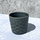 Moster Olga - Antik og Design presents: KronjydenBlue AzurCup* 175 DKK