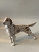 Royal Copenhagen dog figure, Setter
Decoration number 3252.
SOLD