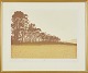 Galleri NT presents: Nicola Kentithography