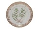 Flora Danica 
Side plate 17 cm. #3551