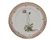 Flora Danica 
Side plate 17 cm. #3551