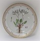 Royal Copenhagen. Flora Danica. Rundt serveringsfad. Model # 3524. Diameter 33 
cm. (1 sortering). Statice rariflora Drej