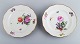 Royal Copenhagen Saxon Flower. Two dinner plates with hand-painted flowers and 
gold decoration.
Approx. 1900.