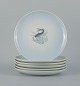 item no:
523772 item no:
523772