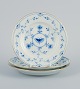 item no:
529541 item no:
529541