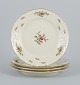 item no:
529866 item no:
529866