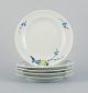 item no:
533042 item no:
533042