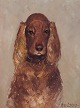 Søren Edsberg, dansk kunstner, cockerspaniel.