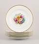 item no:
533945 item no:
533945