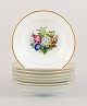 item no:
533949 item no:
533949
