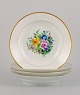 item no:
533951 item no:
533951