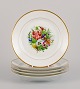 item no:
533955 item no:
533955