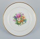 item no:
537774 item no:
537774