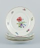 item no:
538908 item no:
538908
