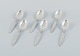 item no:
539168 item no:
539168