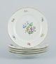 item no:
539193 item no:
539193