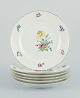 item no:
539194 item no:
539194