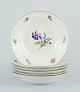 item no:
539197 item no:
539197