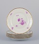 Bing & Grøndahl, Denmark. A set of six dinner plates with flower decorations in 
purple and gold trim. Hand-painted.