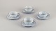 item no:
544039 item no:
544039