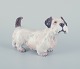 Dahl Jensen, porcelænsfigur af sealyham terrier.