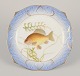 item no:
553649 item no:
553649