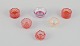 item no:
553893 item no:
553893