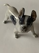 Royal Copenhagen figure of Boston terrier No 1457, 2. Sorting.