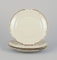 item no:
556332 item no:
556332