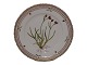 Flora Danica 
Side plate 17 cm. #3551