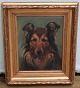 Klosterkælderen presents: Dog Painting: Border Collie Signed "BOB" Simon Simonsen 1910 26 Oild on canvas 49 x 41 cm