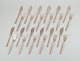 item no:
564185 item no:
564185