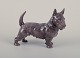 Bing & Grøndahl, porcelain figurine of a Scottish Terrier.