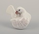 item no:
565442 item no:
565442