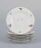 Royal Copenhagen Saxon Flower. Six dinner plates in porcelain. Hand-painted with 
polychrome flowers.