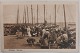 Postkort: Liv I havnen I Gilleleje I 1913