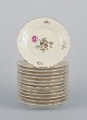 item no:
575914 item no:
575914