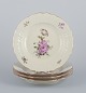 item no:
575916 item no:
575916