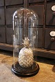 Decorative, old 
cylinder-shaped 
French glass 
Dome / ...