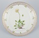 item no:
603230 item no:
603230
