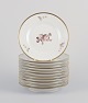item no:
608722 item no:
608722