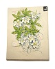 Hvidt relief 
med hvide 
blomster, Jie