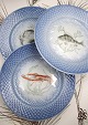K&Co. presents: 
Bing & 
Grondahl Blue 
Tone fish 
plates in hotel 
porcelain / 
iron porcelain. 
No. 716. 1st 
grade. ...