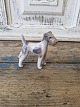Karstens Antik 
presents: 
Royal 
Copenhagen 
Figurine - 
Terrier no. 
3170